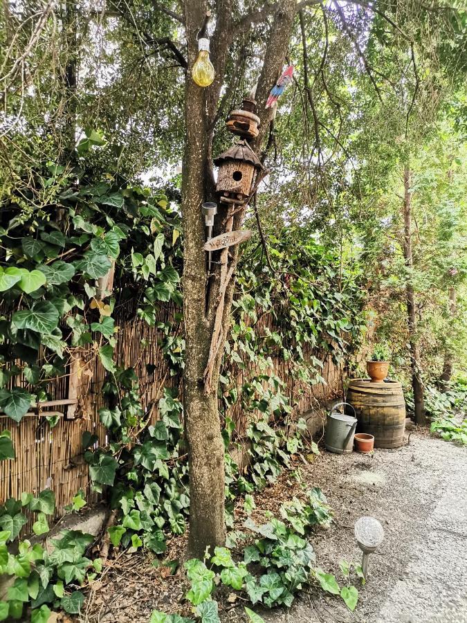 Flat In Historic Villa With Your Own Private Garden, Near City Park 布达佩斯 外观 照片