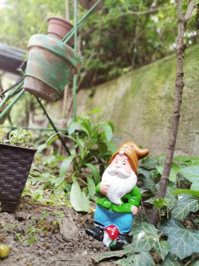 Flat In Historic Villa With Your Own Private Garden, Near City Park 布达佩斯 外观 照片