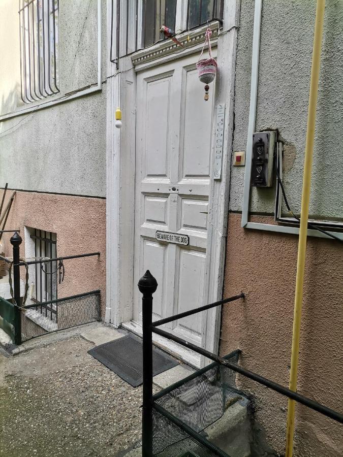 Flat In Historic Villa With Your Own Private Garden, Near City Park 布达佩斯 外观 照片