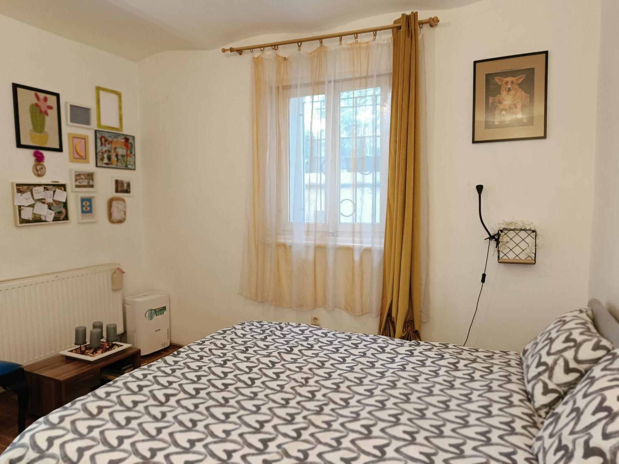Flat In Historic Villa With Your Own Private Garden, Near City Park 布达佩斯 外观 照片